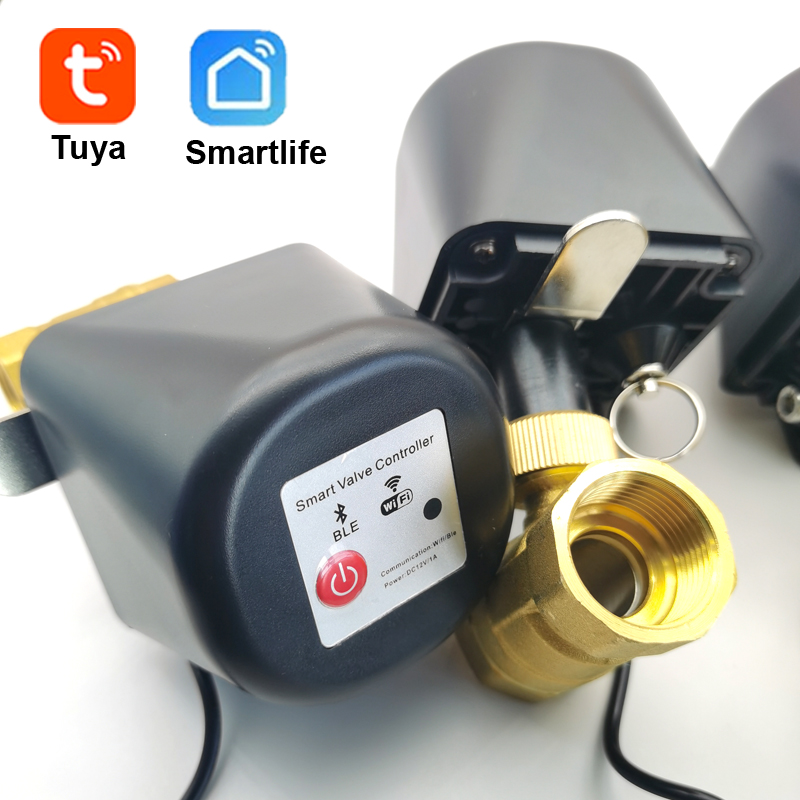 صمام مياه ذكي من تويا زيجبي مع - مراجعة Tuya Zigbee Garden Irrigation Controller وسعره